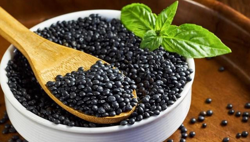 Tam Bir Lif Deposu: Beluga