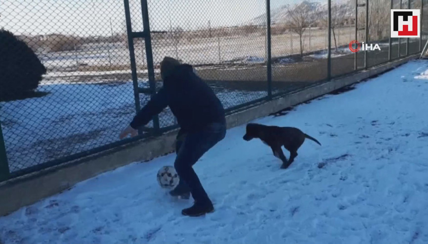 Sevimli köpeğin top tutkusu, sahadan bir türlü çıkmadı...