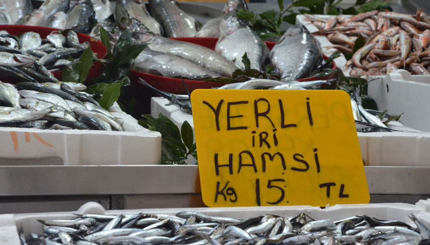 Talep azaldı, hamsi fiyatı geriledi