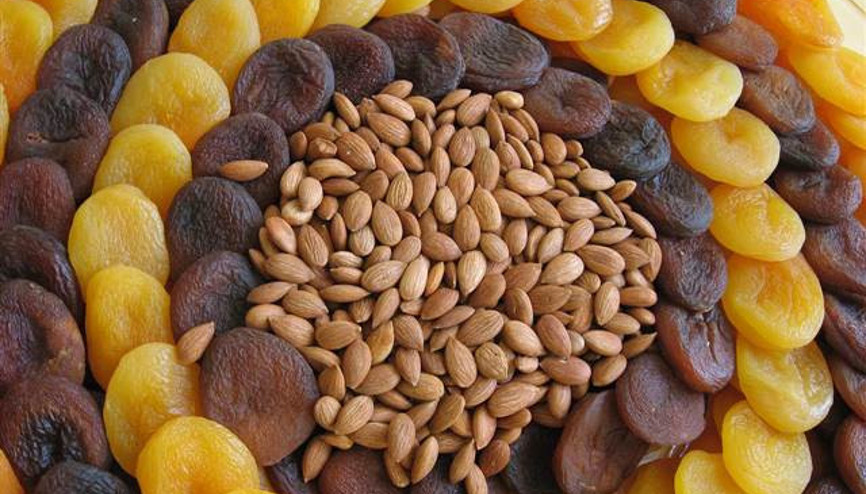 Kayısı çekirdeğinin kabuğundan yıllık 12 milyon lira gelir