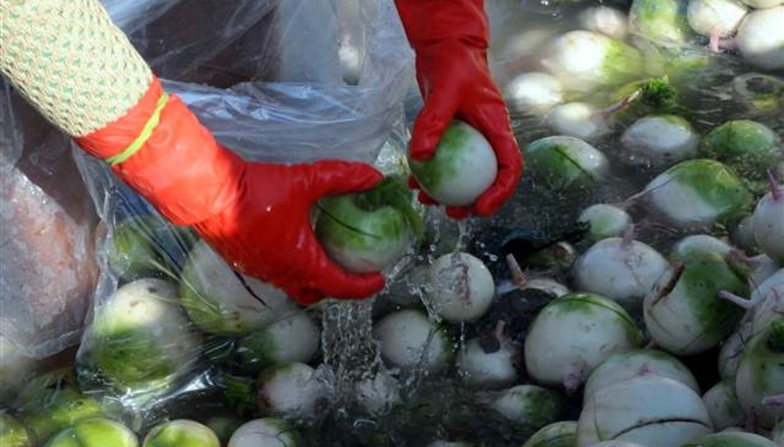 Kadınların buz gibi suda ekmek mücadelesi