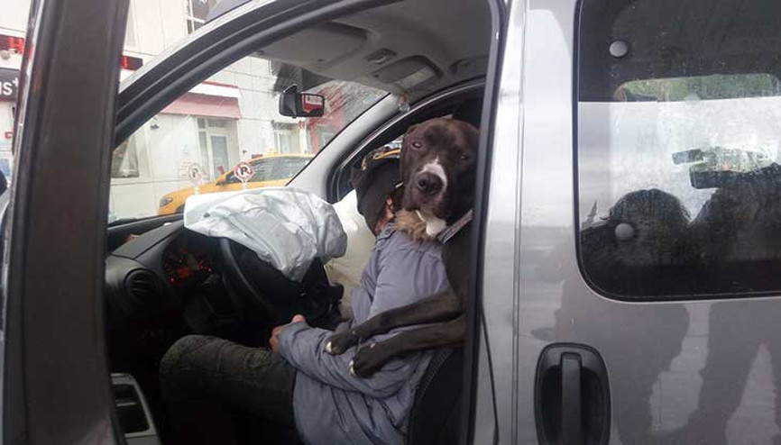 Direksiyon başınca sızınca... Şişlide ilginç kaza Direksiyon başınca sızınca... Şişlide ilginç kaza