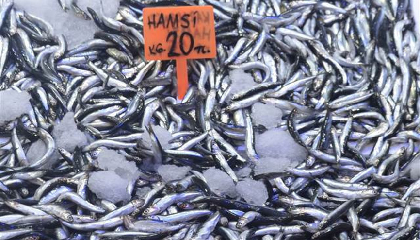 Hamsinin fiyatı el yakıyor