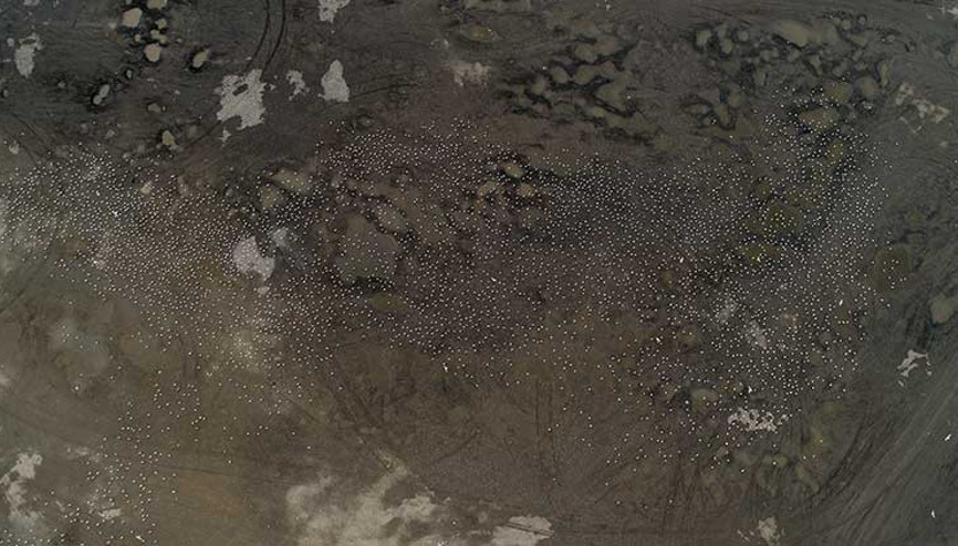 İstanbulda otoparka sığındılar Binlercesi mağdur oldu