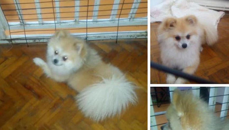 Bany operasyonunda gerçek karakolda ortaya çıktı Bany operasyonunda gerçek karakolda ortaya çıktı