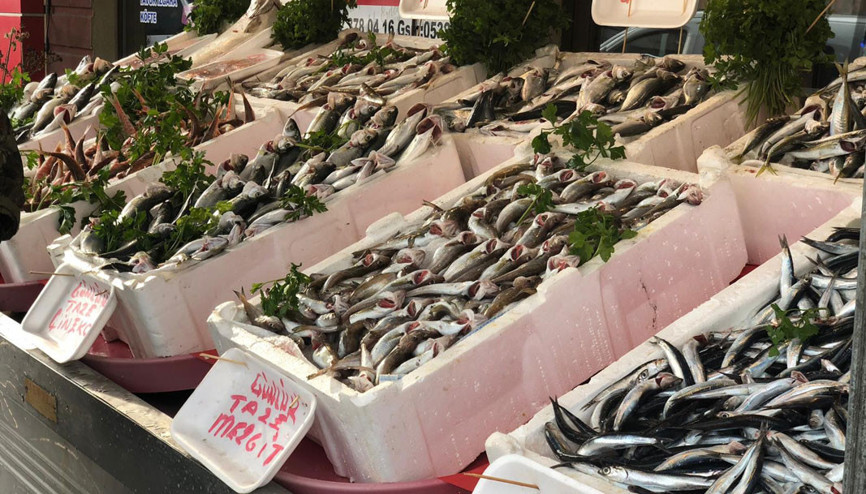 Hamsinin kilosu tavuğun fiyatını geçti Hamsinin kilosu tavuğun fiyatını geçti