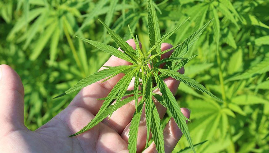 Çalışmalar başladı... İlk yerli ve milli olacak