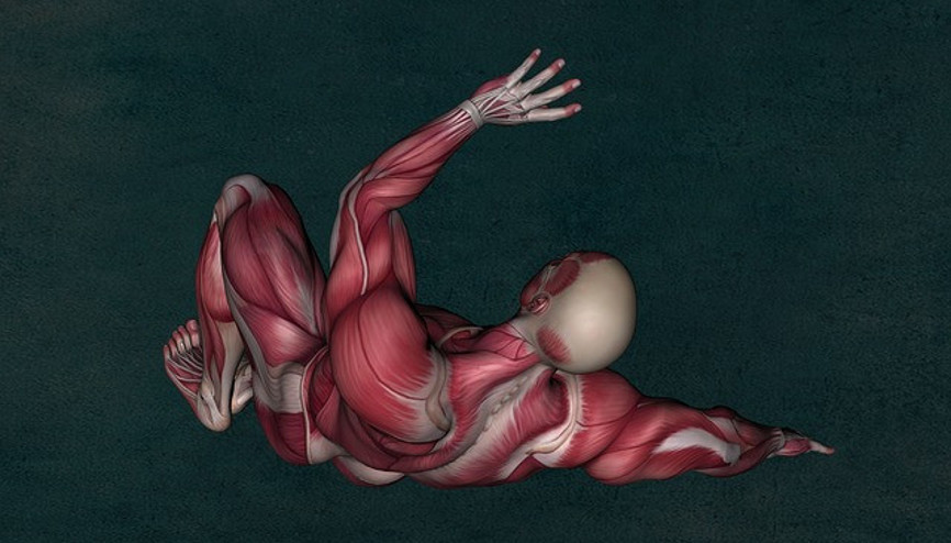 DMD hastalığı nedir