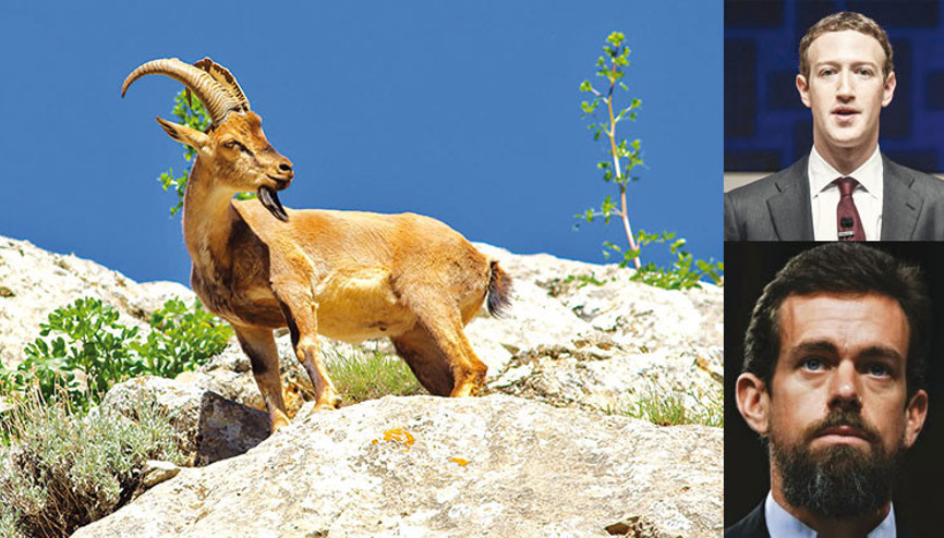 Biri avlamış biri yememiş