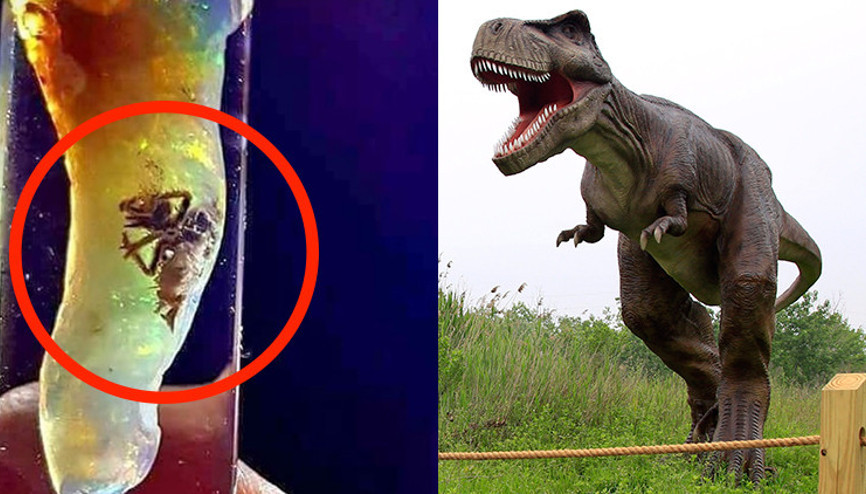 Dünyayı şoke eden keşif