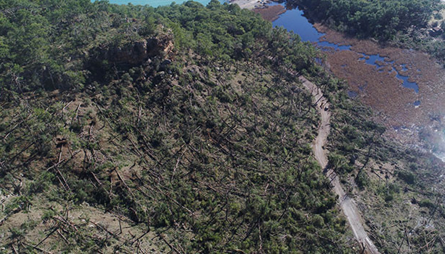 Buseyi dereye savuran hortum antik kentte başlamış, 1500 ağacı devirmiş
