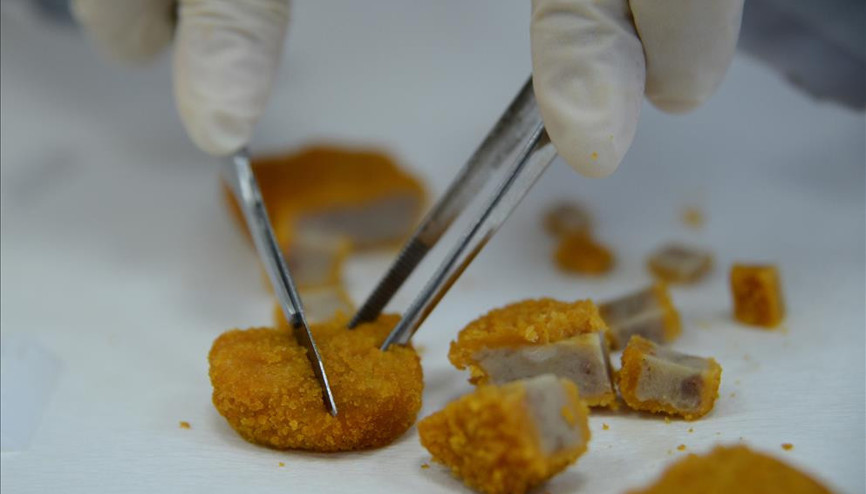 Beyaz et sektörü gözünü Çine dikti