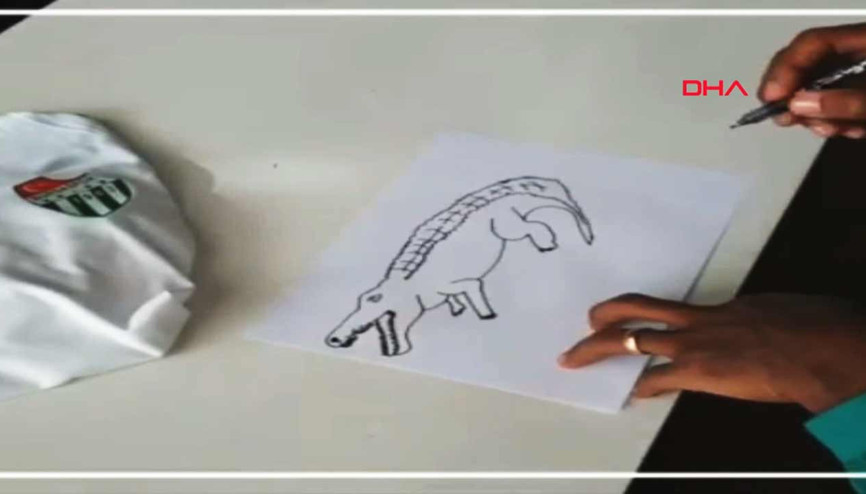 Aurelien Chedjoudan Timsah çizimi