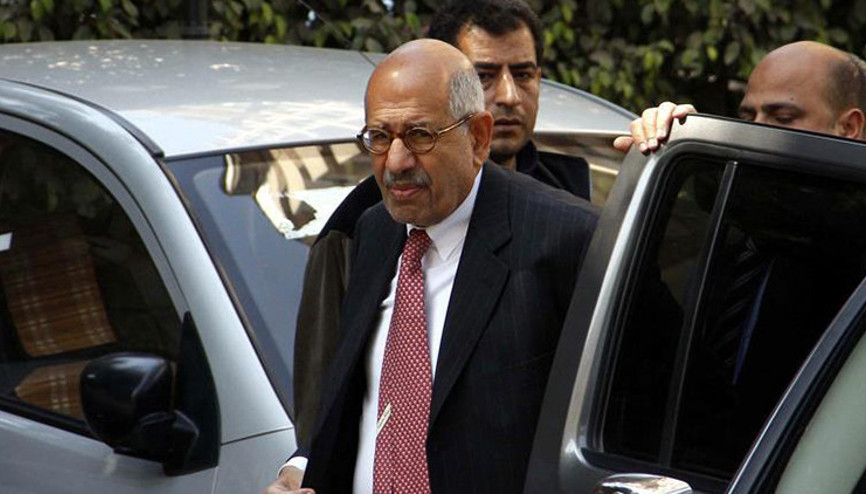 Baradeyden Mısıra insan hakları eleştirisi