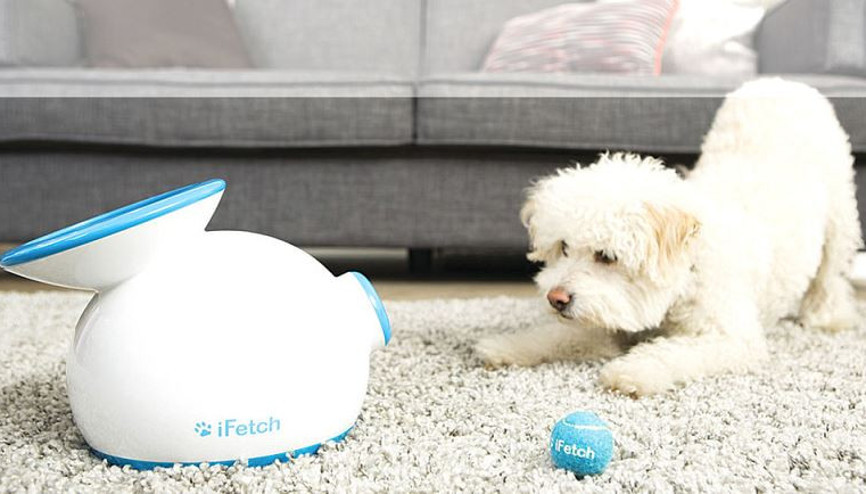 Aklınız evde kalmasın