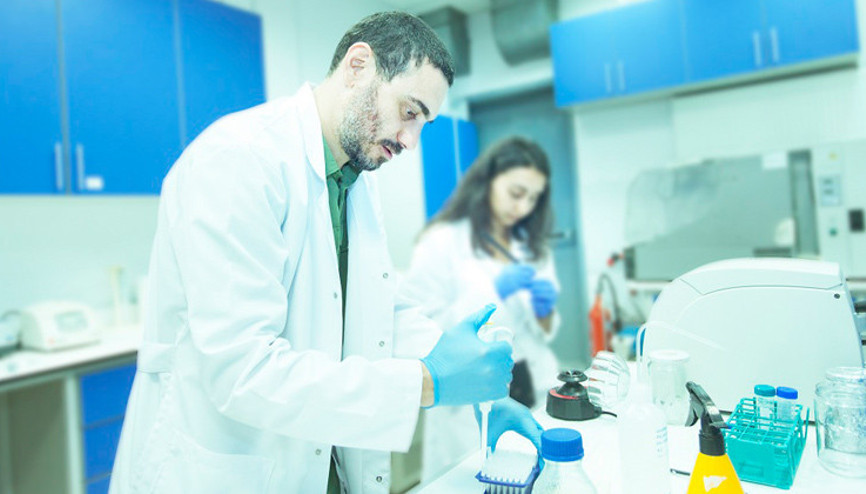 MIT ve BOUN hibrid çavdar üretecek