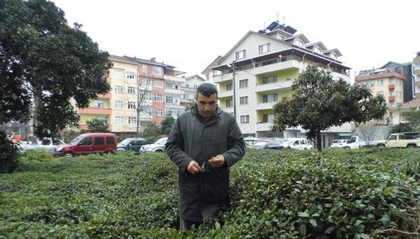 Özsoy: Sorunumuz büyük, çözüm hızlı gelmelidir Özsoy: Sorunumuz büyük, çözüm hızlı gelmelidir