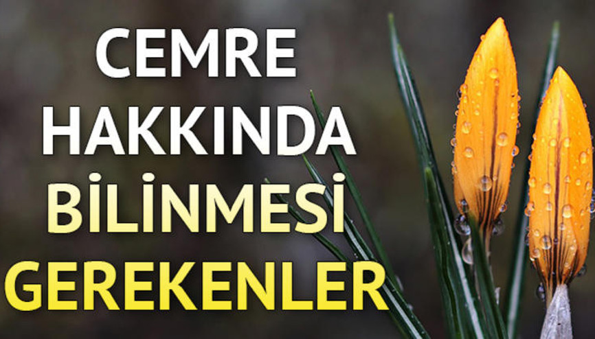 2019 ilk cemre ne zaman düşecek İşte cemre düşme tarihleri 2019 ilk cemre ne zaman düşecek İşte cemre düşme tarihleri