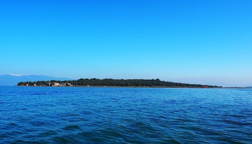 Ayvalık´ın nergis dolu Çiçek Adası