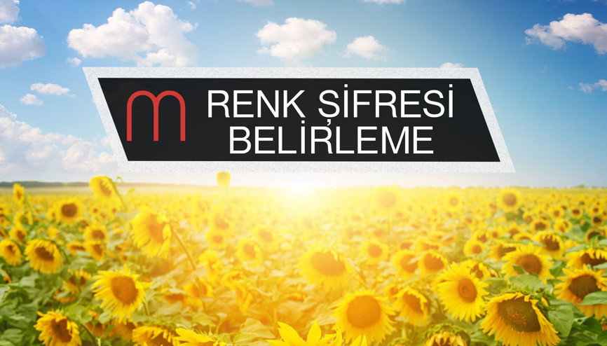 Renk Şifresinin Belirlenmesi İçin Hangi Adımlar İzlenmeli