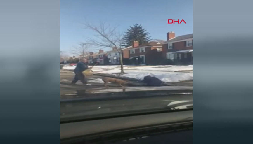 Postacı, pitbull saldırısına uğradı Postacı, pitbull saldırısına uğradı