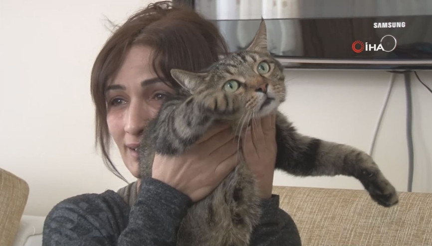 Kedi Efe patisiyle sahibini yanmaktan kurtardı