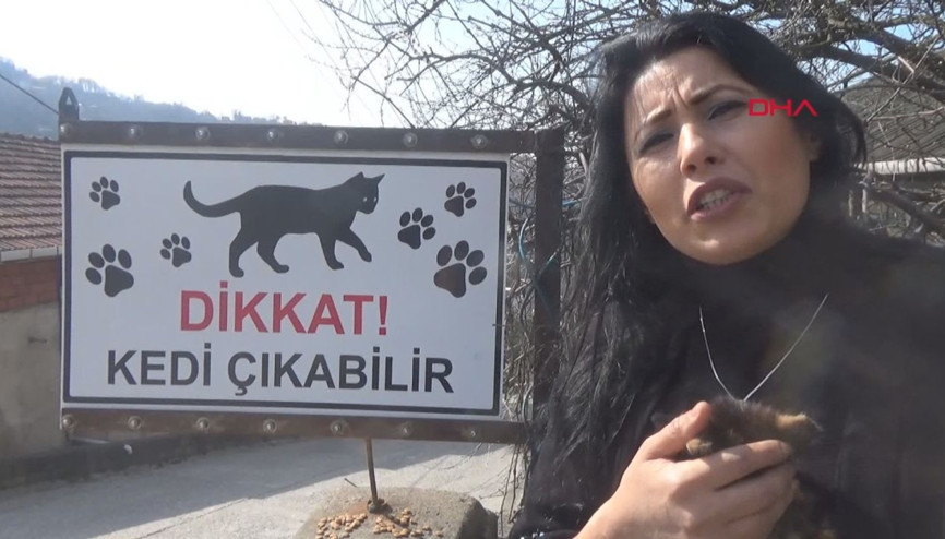 Kedileri için yola tabela astı