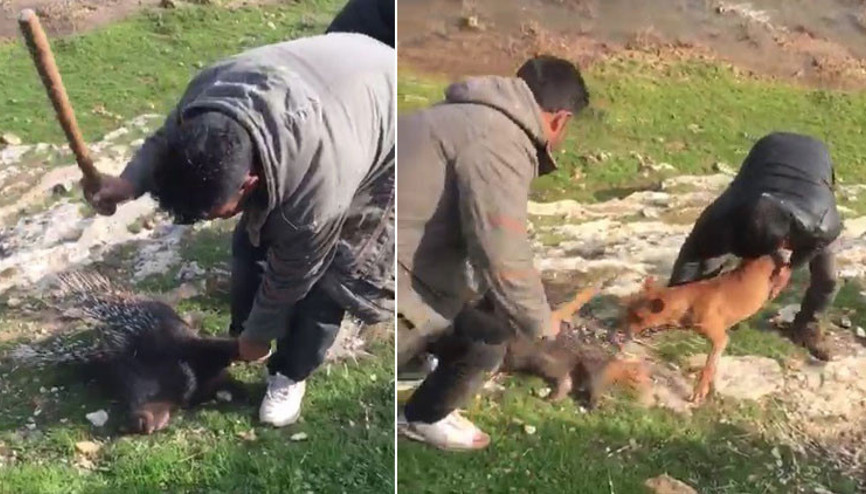 İsyan ettiren olayda son dakika gelişmesi