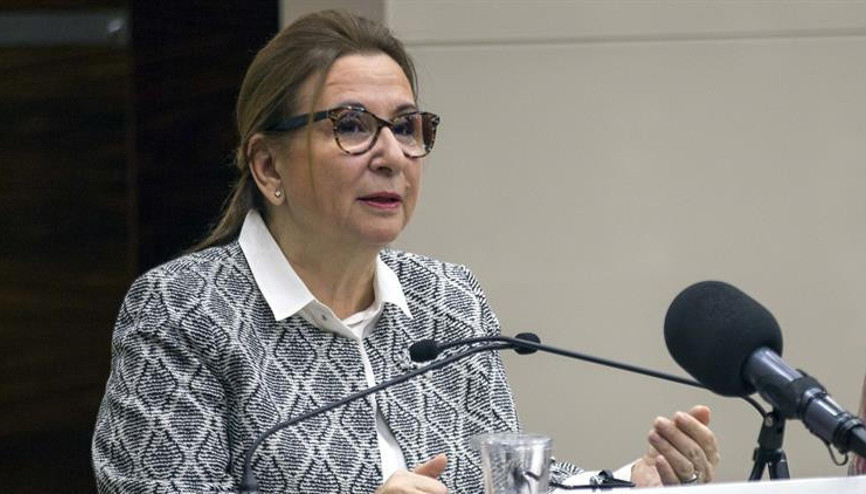 Zeytin Dalı Sınır Kapısı açılıyor