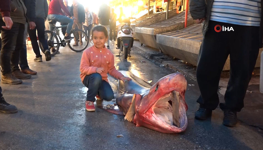Mersin’de dev köpekbalığı yakalandı