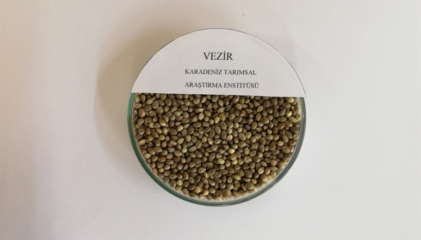 Türkiyenin ilki... Tescile sunuldu