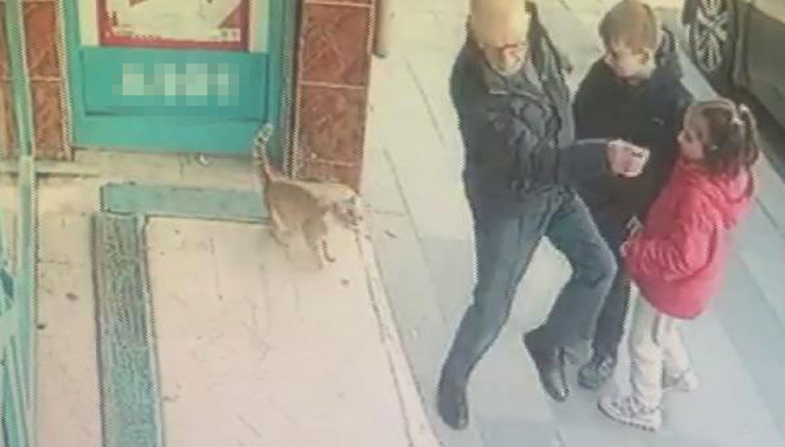 İşte sosyal medyanın konuştuğu kedi