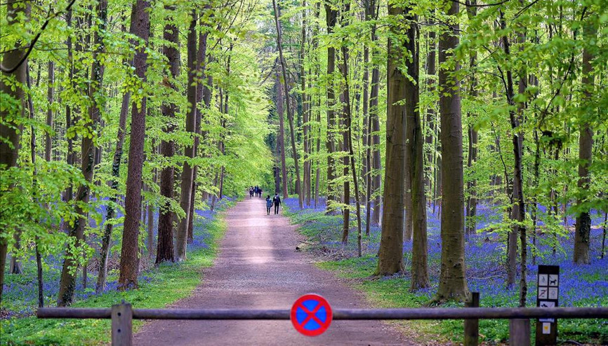 Türkiyenin orman varlığı 22,6 milyon hektarı geçti