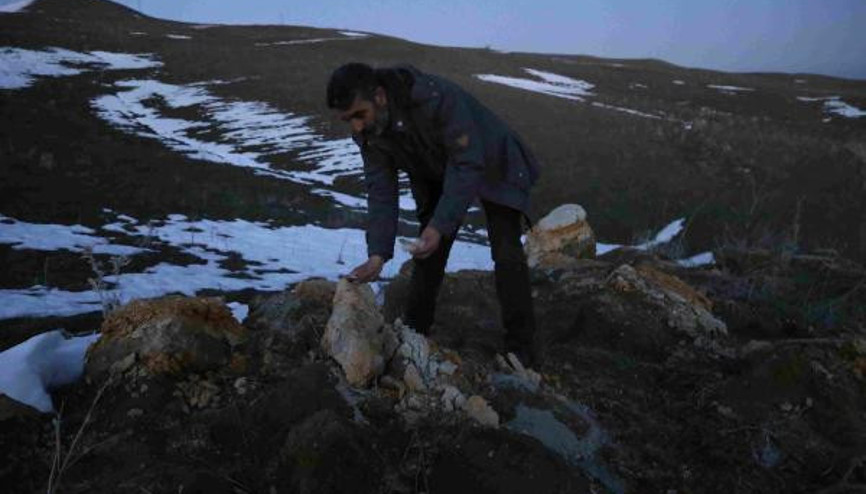 Varto da fosil bulundu Varto da fosil bulundu