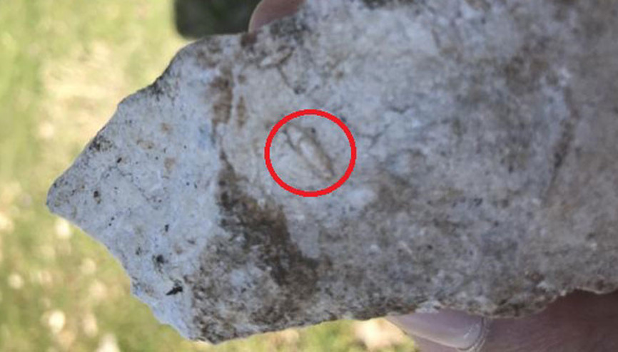 Cudide müthiş keşif 12 milyon yıllık...