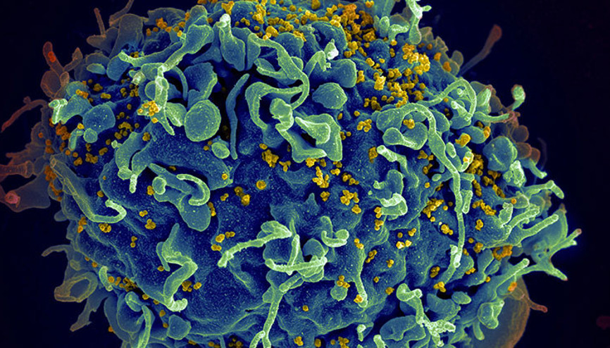 Çin’de bulaşıcı hastalıklar öldürüyor