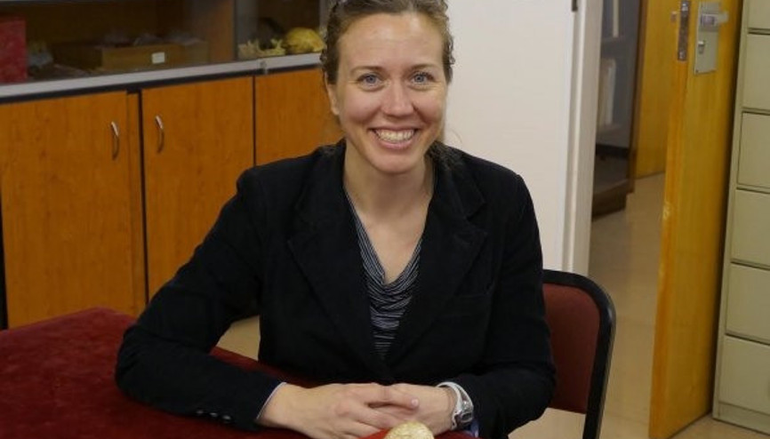 Kitaplar hareket eder mi