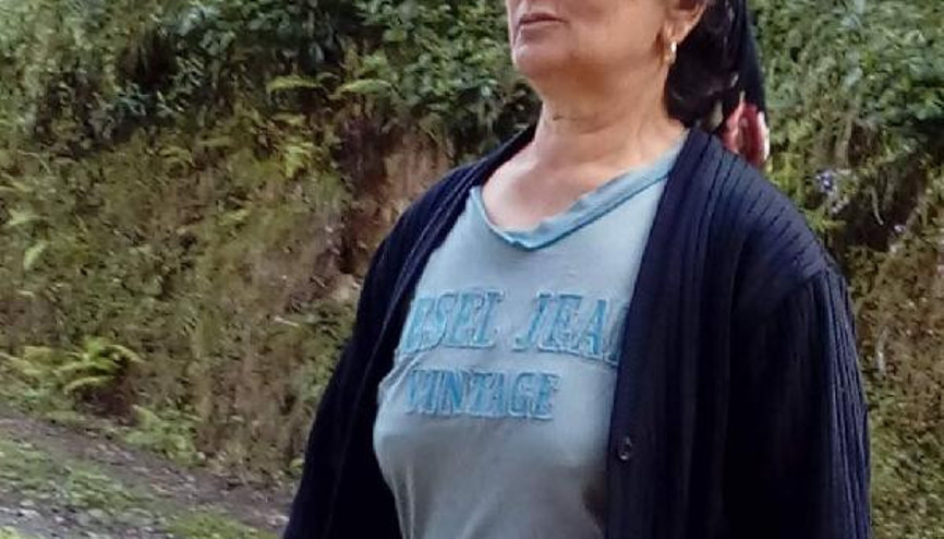 İlkel teleferikten başına odun düşen kadın öldü İlkel teleferikten başına odun düşen kadın öldü