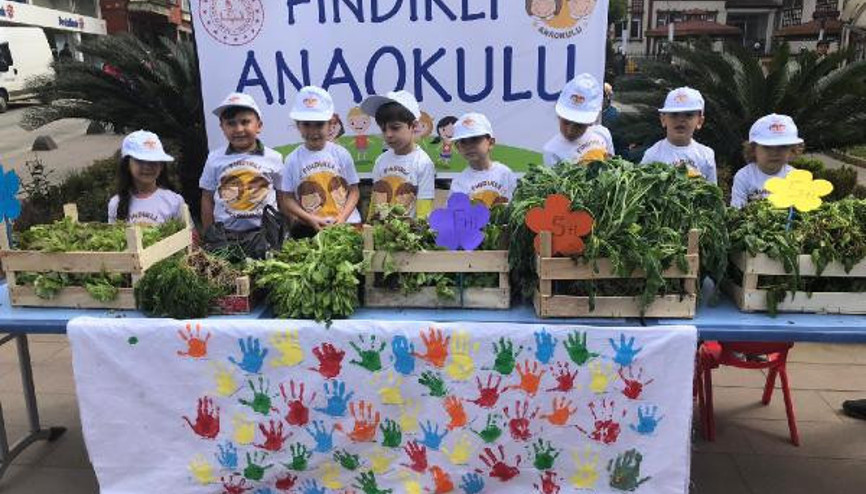 Fındıklıda seralarında yetiştirdiler, pazarda sattılar Fındıklıda seralarında yetiştirdiler, pazarda sattılar