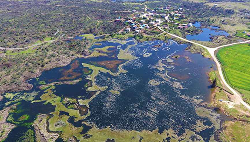 Asırlar önce oluşmuş... Görenler hayran kalıyor