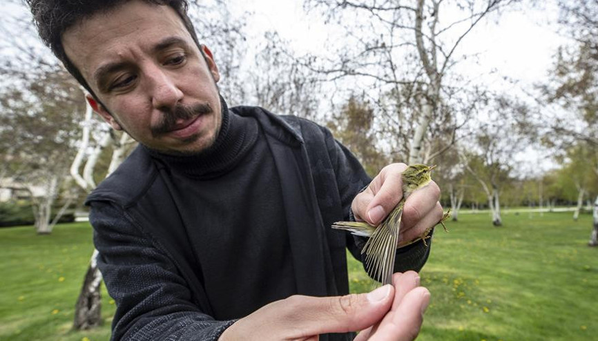 Kuşlara kesinlikle ekmek vermeyin