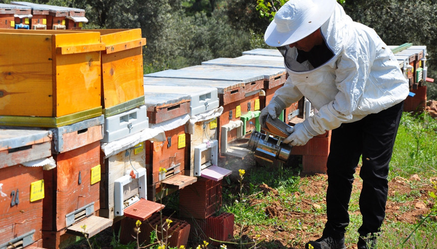 Gramı 400 lira, kilosu 400 bin lira... Zehir üreterek para kazanıyor Gramı 400 lira, kilosu 400 bin lira... Zehir üreterek para kazanıyor