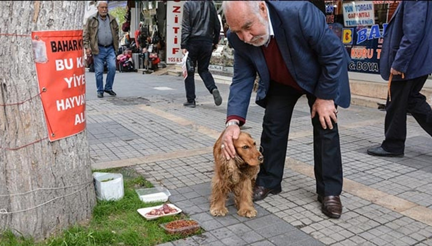 Sokak hayvanlarına evlat şefkatiyle bakıyor