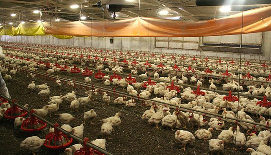 Beyaz et sektörünün yeni hedefi: Çin