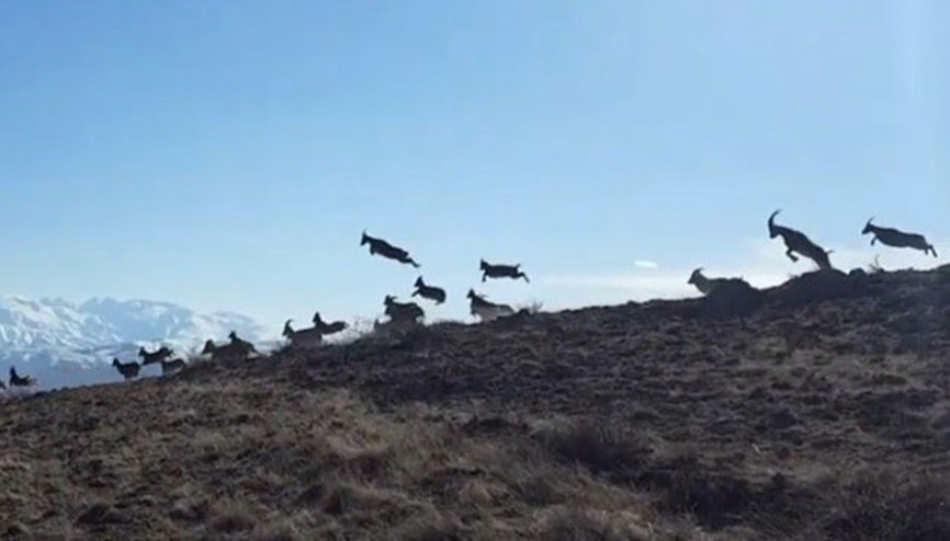 Yer: Erzincan... O an böyle görüntülendi