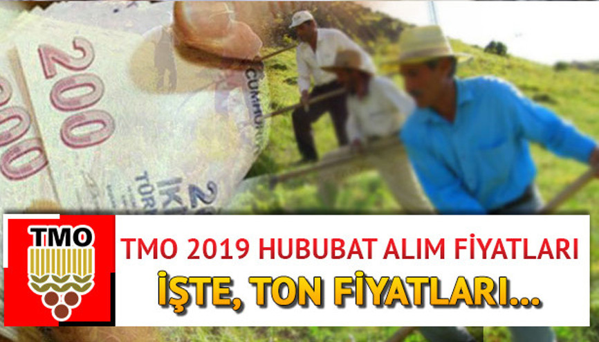 TMO 2019 arpa ve buğday alım ton fiyatları ne kadar oldu