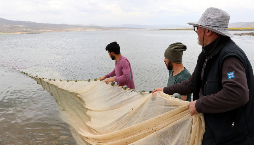 Kayseriden çıkarılıyor Avrupaya ihraç ediliyor