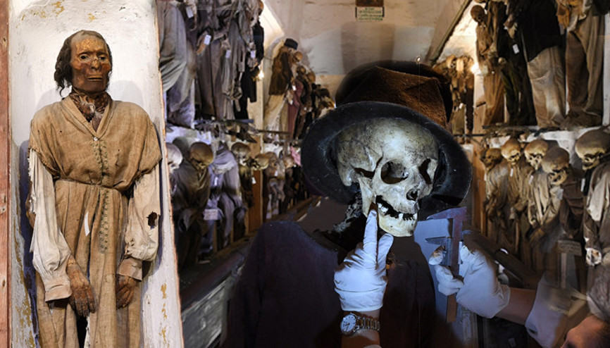 8 bin ceset, 1252 mumya Tüyler ürpertiyor