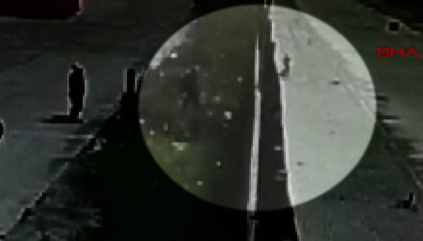 Yavru köpeği çitlerin üzerinden fırlatıp attı