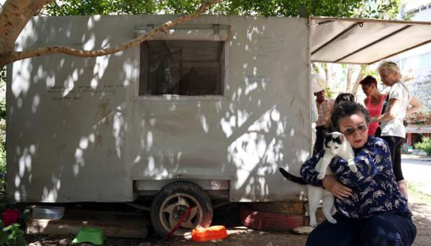 Kedi evine dönüştürülen karavan, siteyi karıştırdı